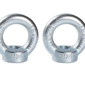 DIN582 EYE NUT